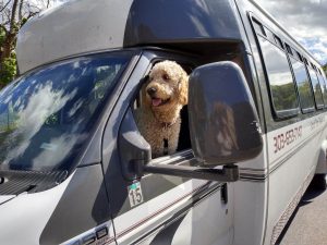 Good Time Tours red rocks party bus rental with dog in front seat